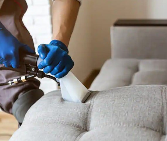 best upholstery cleaning doreen