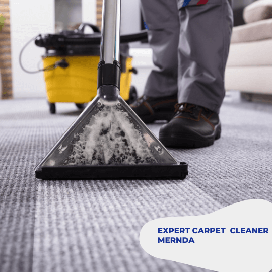 expert carpet cleaners mernda